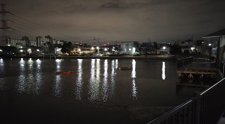 東京の東の端からわたしのウォーキング記録（2026.1.21）2