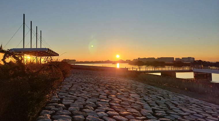 東京の東の端からわたしのウォーキング記録（2026.1.24）2
