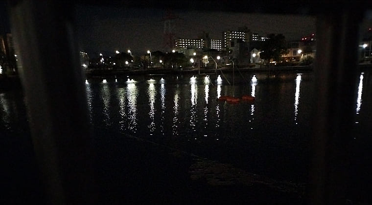 東京の東の端からわたしのウォーキング記録（2026.1.25）2