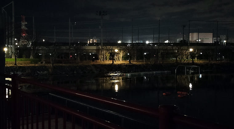 東京の東の端からわたしのウォーキング記録（2026.1.29）2