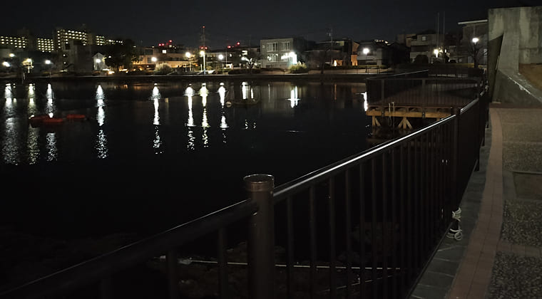 東京の東の端からわたしのウォーキング記録（2026.1.31）2