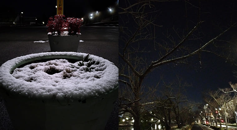 東京の東の端からわたしのウォーキング記録（2026.1.3）3