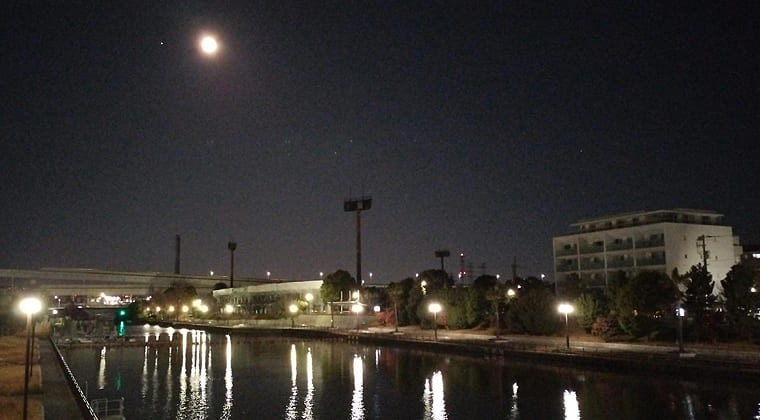 東京の東の端からわたしのウォーキング記録（2026.1.4）2