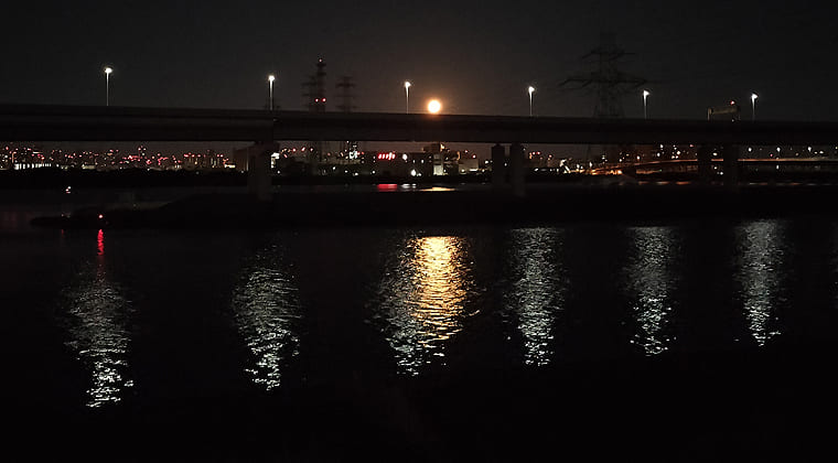 東京の東の端からわたしのウォーキング記録（2026.2.1）1