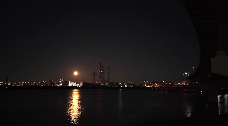 東京の東の端からわたしのウォーキング記録（2026.2.1）2