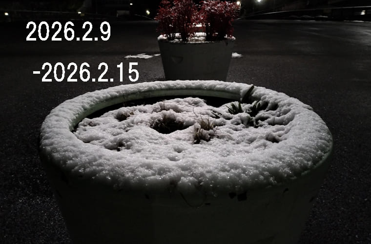 わたしのウォーキング記録（2026.2月2週目）