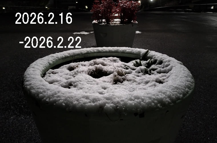 わたしのウォーキング記録（2026.2月3週目）