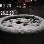 わたしのウォーキング記録（2026・2月）④