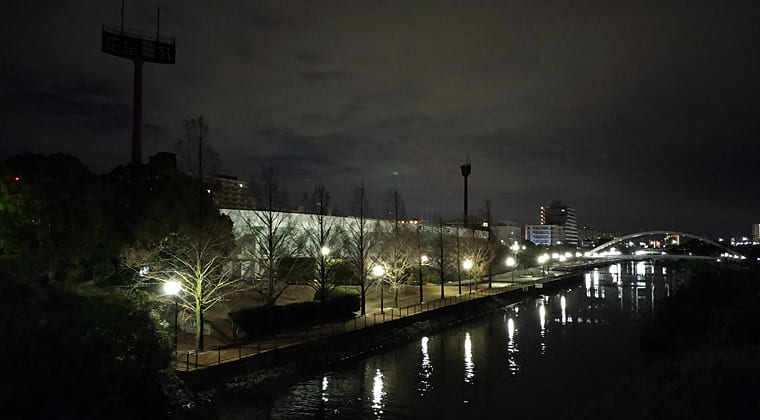 東京の東端からわたしのウォーキング記録（2026.2.12）