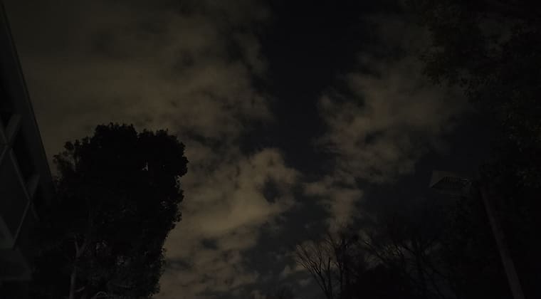 東京の東端からわたしのウォーキング記録（2026.2.13）1