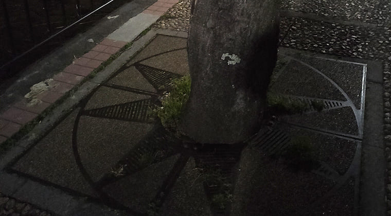 東京の東端からわたしのウォーキング記録（2026.2.16）2