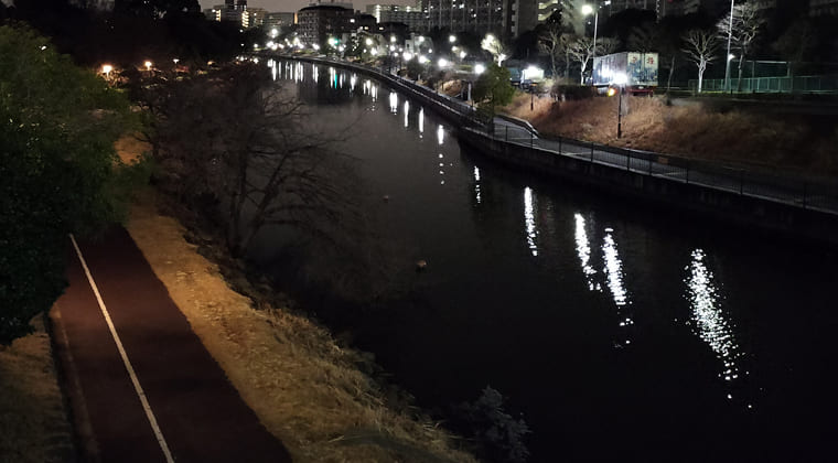 東京の東端からわたしのウォーキング記録（2026.2.17）2