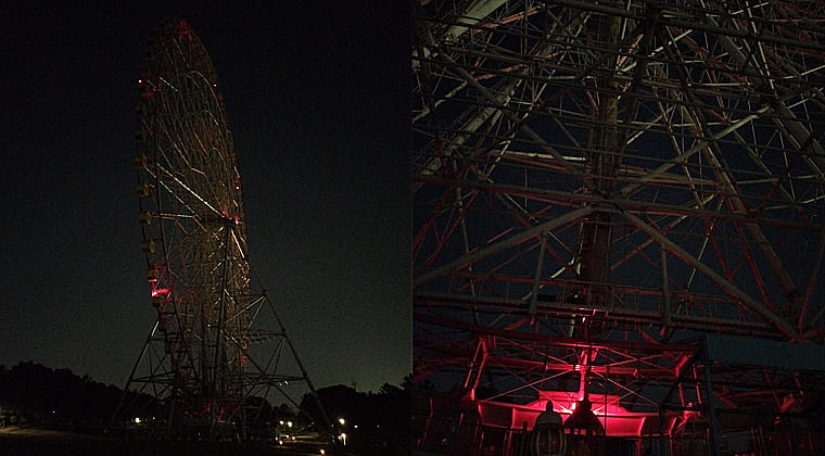 東京の東端からわたしのウォーキング記録（2026.2.21）3