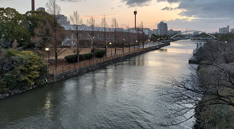 東京の東端からわたしのウォーキング記録（2026.2.23）1