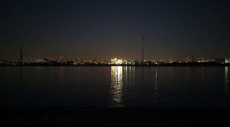 東京の東端からわたしのウォーキング記録（2026.2.14）