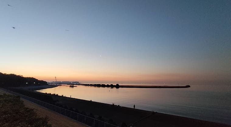 東京の東端からわたしのウォーキング記録（2026.2.14）2