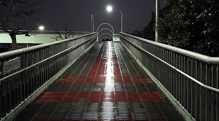 東京の東端からわたしのウォーキング記録（2026.2.25）2