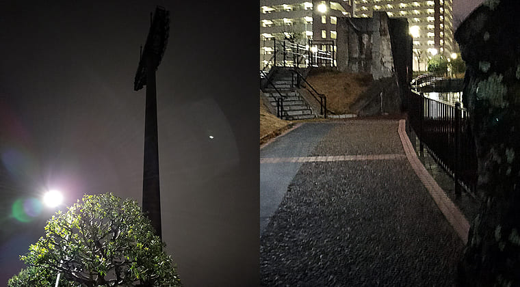 東京の東端からわたしのウォーキング記録（2026.2.26）2