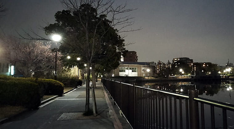 東京の東端からわたしのウォーキング記録（2026.2.28）2