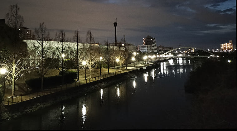 東京の東端からわたしのウォーキング記録（2026.3.10）1