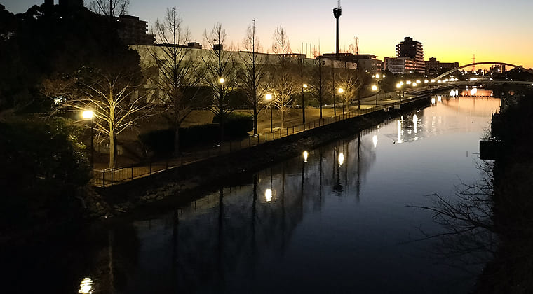 東京の東端からわたしのウォーキング記録（2026.3.11）1