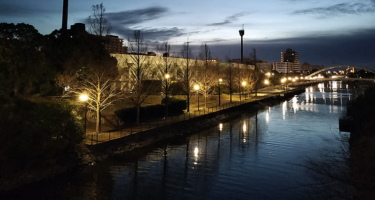 東京の東端からわたしのウォーキング記録（2026.3.14）1