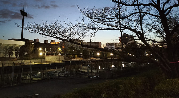 東京の東端からわたしのウォーキング記録（2026.3.15）1