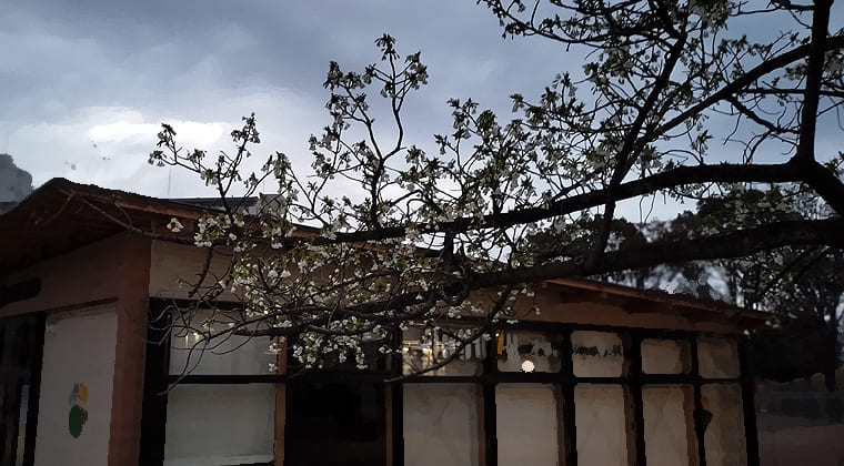 東京の東端からわたしのウォーキング記録（2026.3.25）2