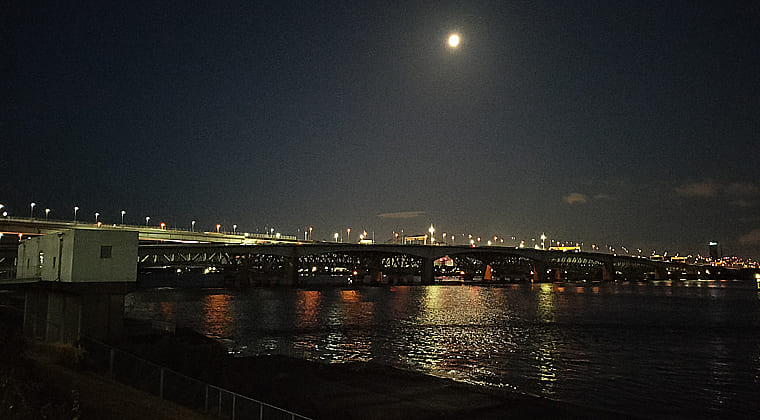 東京の東端からわたしのウォーキング記録（2026.3.7）2