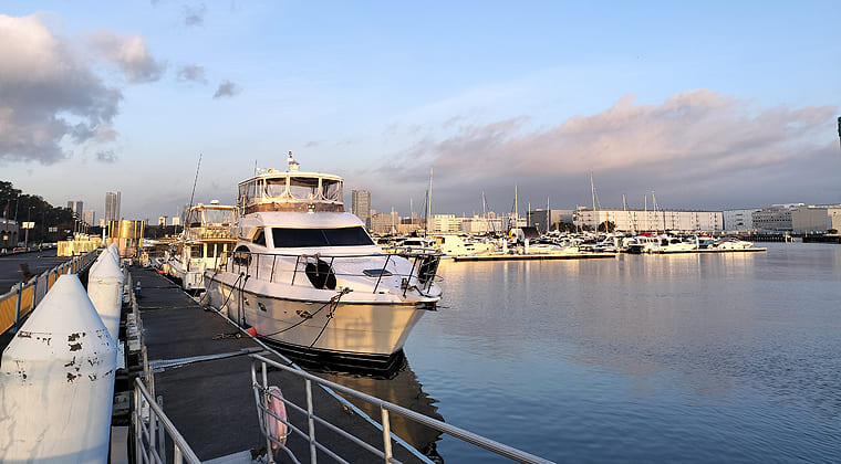 東京の東端からわたしのウォーキング記録（2026.3.7）3