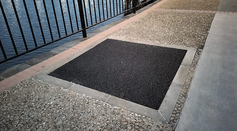 東京の東端からわたしのウォーキング記録（2026.3.8）2