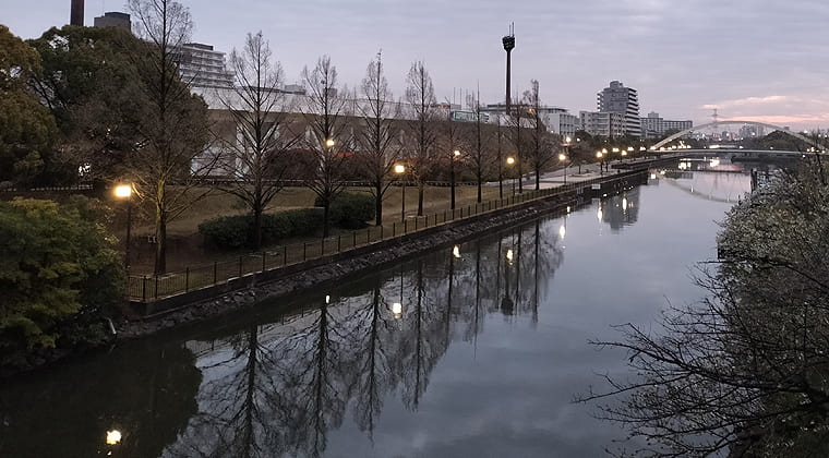東京の東端からわたしのウォーキング記録（2026.4.1）1