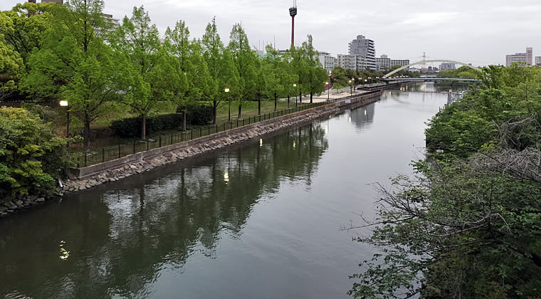 東京の東端からわたしのウォーキング記録（2026.4.23）1