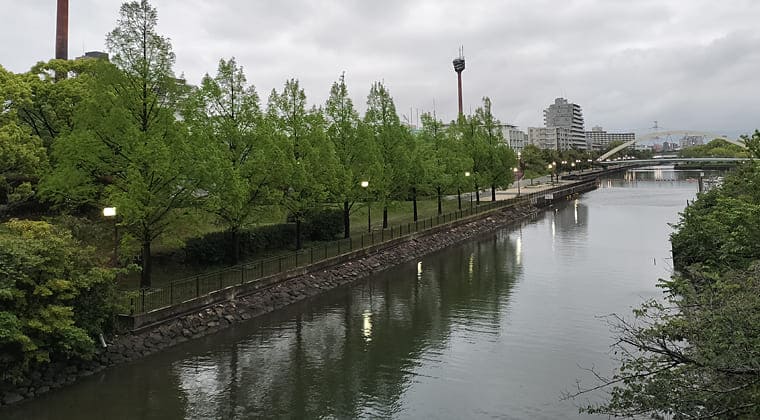 東京の東端からわたしのウォーキング記録（2026.4.24）1