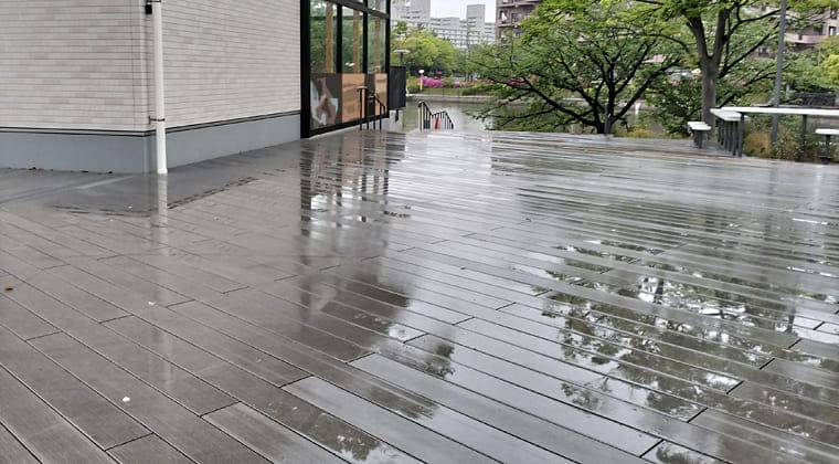東京の東端からわたしのウォーキング記録（2026.4.24）2
