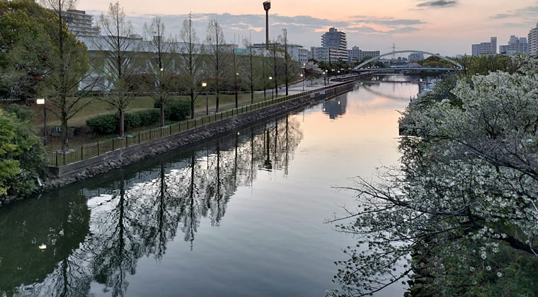 東京の東端からわたしのウォーキング記録（2026.4.6）1