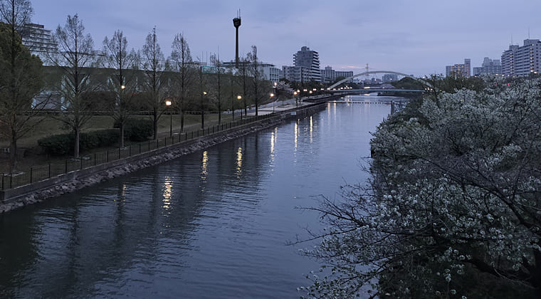 東京の東端からわたしのウォーキング記録（2026.4.7）1