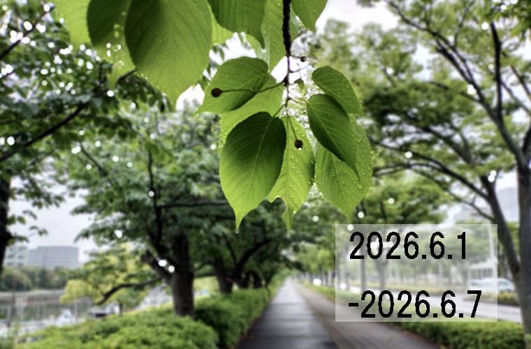 わたしのウォーキング記録（2026.6月1週目）