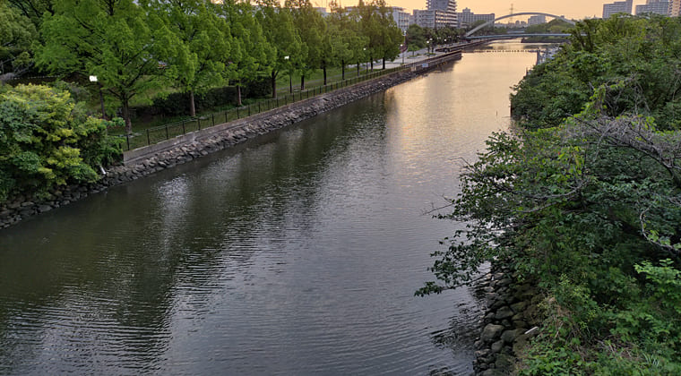 東京の東端からわたしのウォーキング記録（2026.5.15）1