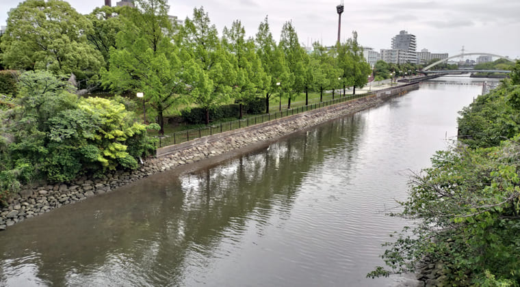 東京の東端からわたしのウォーキング記録（2026.5.23）1