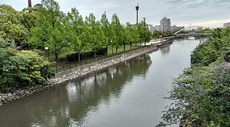 東京の東端からわたしのウォーキング記録（2026.5.9）1