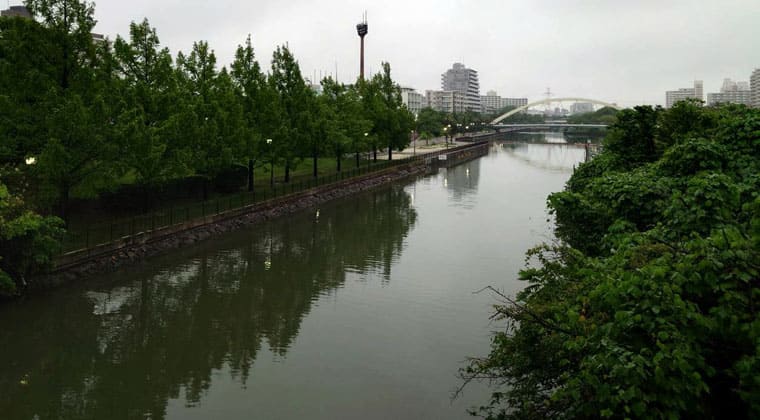 東京の東の端からわたしのウォーキング記録（2026.6.29）1