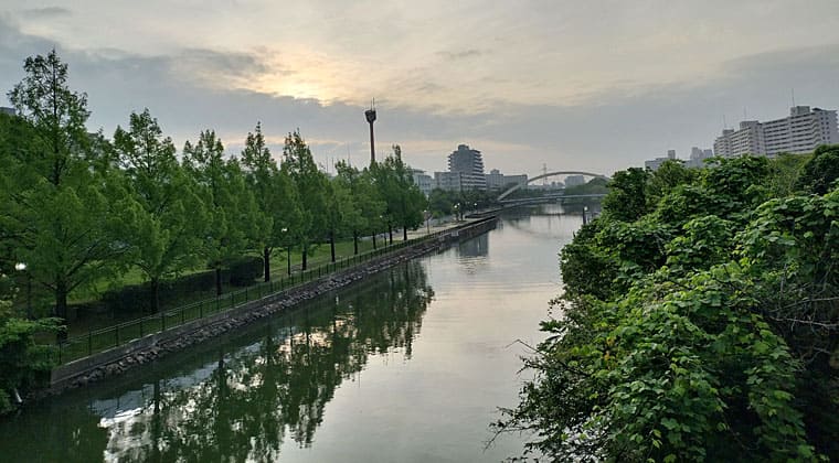 東京の東の端からわたしのウォーキング記録（2026.6.30）1