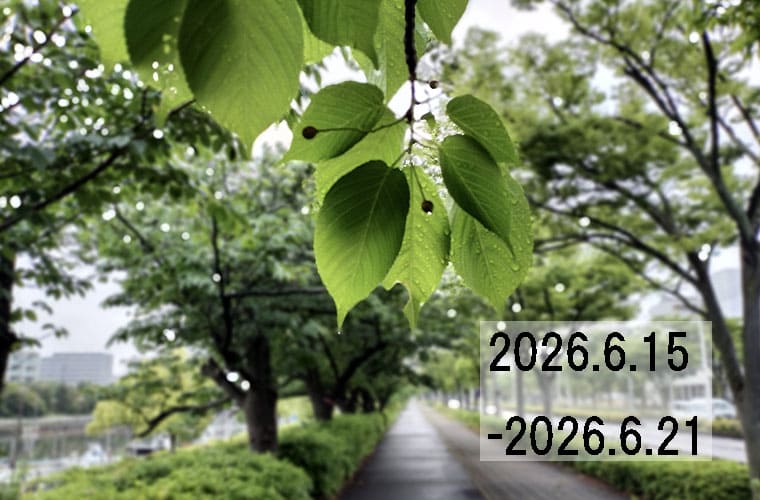 わたしのウォーキング記録（2026.6月2週目）