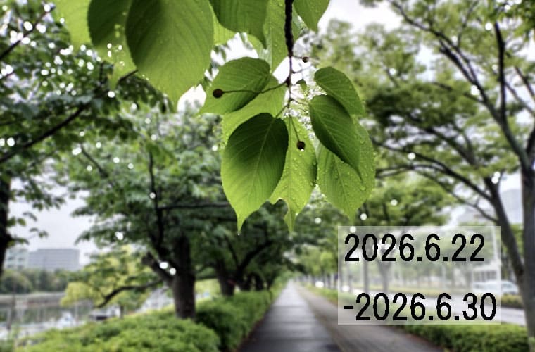 わたしのウォーキング記録（2026.6月5週目）
