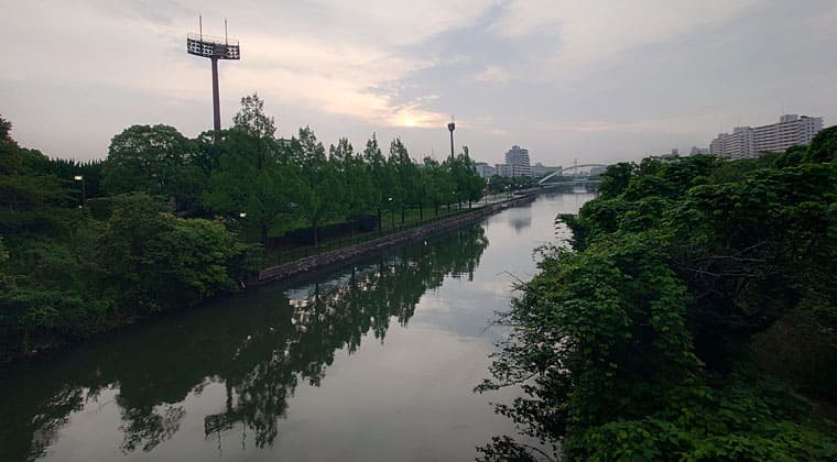 東京の東の端からわたしのウォーキング記録（2026.7.1）1