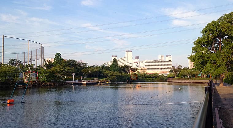 東京の東の端からわたしのウォーキング記録（2026.7.14）4