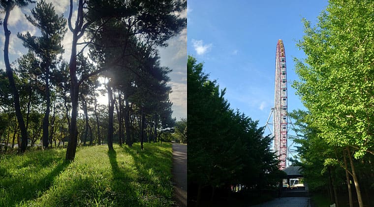 東京の東の端からわたしのウォーキング記録（2026.7.8）4