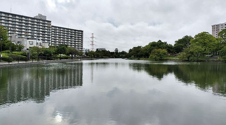 東京の東の端からわたしのウォーキング記録（2026.8.14）1