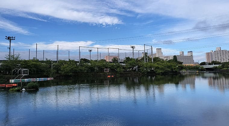 東京の東の端からわたしのウォーキング記録（2026.8.14）3